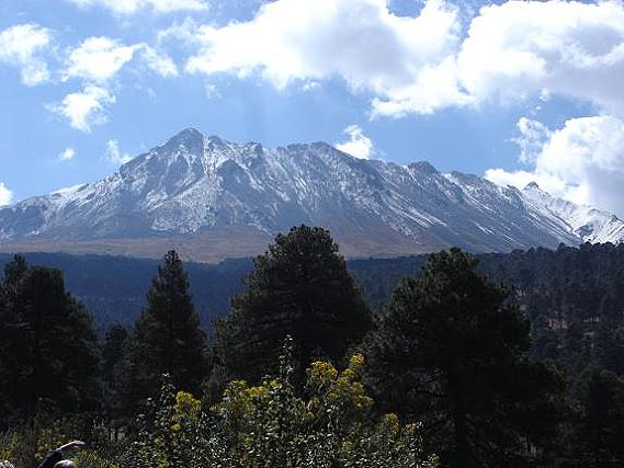 Auf einer Exkursion durch Mexiko